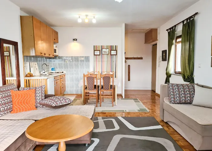 Lejlighed Urbanscape + Free Private Parking Sarajevo